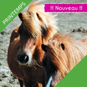 Séjour Poney mon ami – Printemps 2027