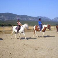 Castel Fizel, les chevaux et les cavaliers sont rois ! Castel Fizel, les chevaux et les cavaliers sont rois !
