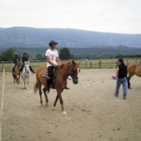 Equitation