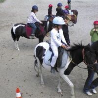 Equitation